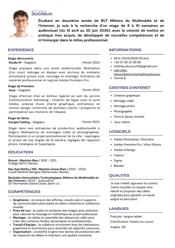 Aperçu du CV de Mathieu